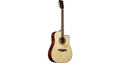 Eko Guitars Tri D300ce
