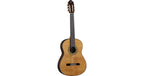 Eko Guitars Vibra 500 Mario Gangi