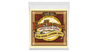 Ernie Ball 2051 Earthwood Silk & Steel 80/20 Bronze Soft 9-46