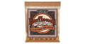 Ernie Ball 2143 Earthwood Custom Medium Phosphore Bronze