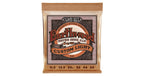 Ernie Ball 2145 Earthwood Custom Light Phosphore Bronze