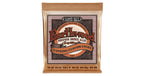 Ernie Ball 2152 Earthwood 12-String Custom Light Phosphore Bronze