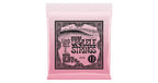 Ernie Ball 2330 Concert/Tenor BE Uke Strings Wound G