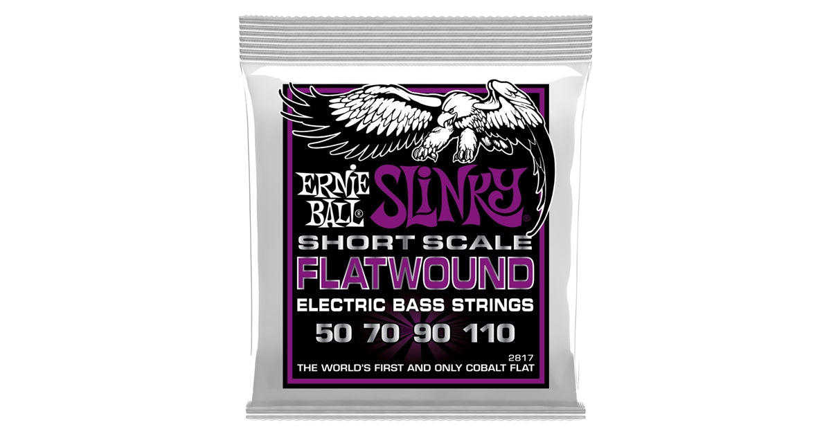 Ernie Ball 2817 Slinky Short Scale Flatwound Electric Bass 50-110