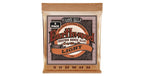 Ernie Ball 3548 Earthwood Light Phos  3 Pk 11 52