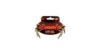 Ernie Ball 6401 Flat Ribbon Patch Cable Red 7.62cm 3-Pk