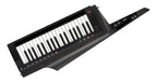 Korg RK-100S2-BLK