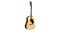 Martin & Co. D-X2E Brazilian 12-String Remastered