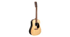 Martin & Co. D-X2E Brazilian 12-String Remastered