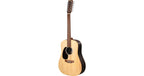 Martin & Co. D-X2EL Brazilian 12-String LEFT Remastered