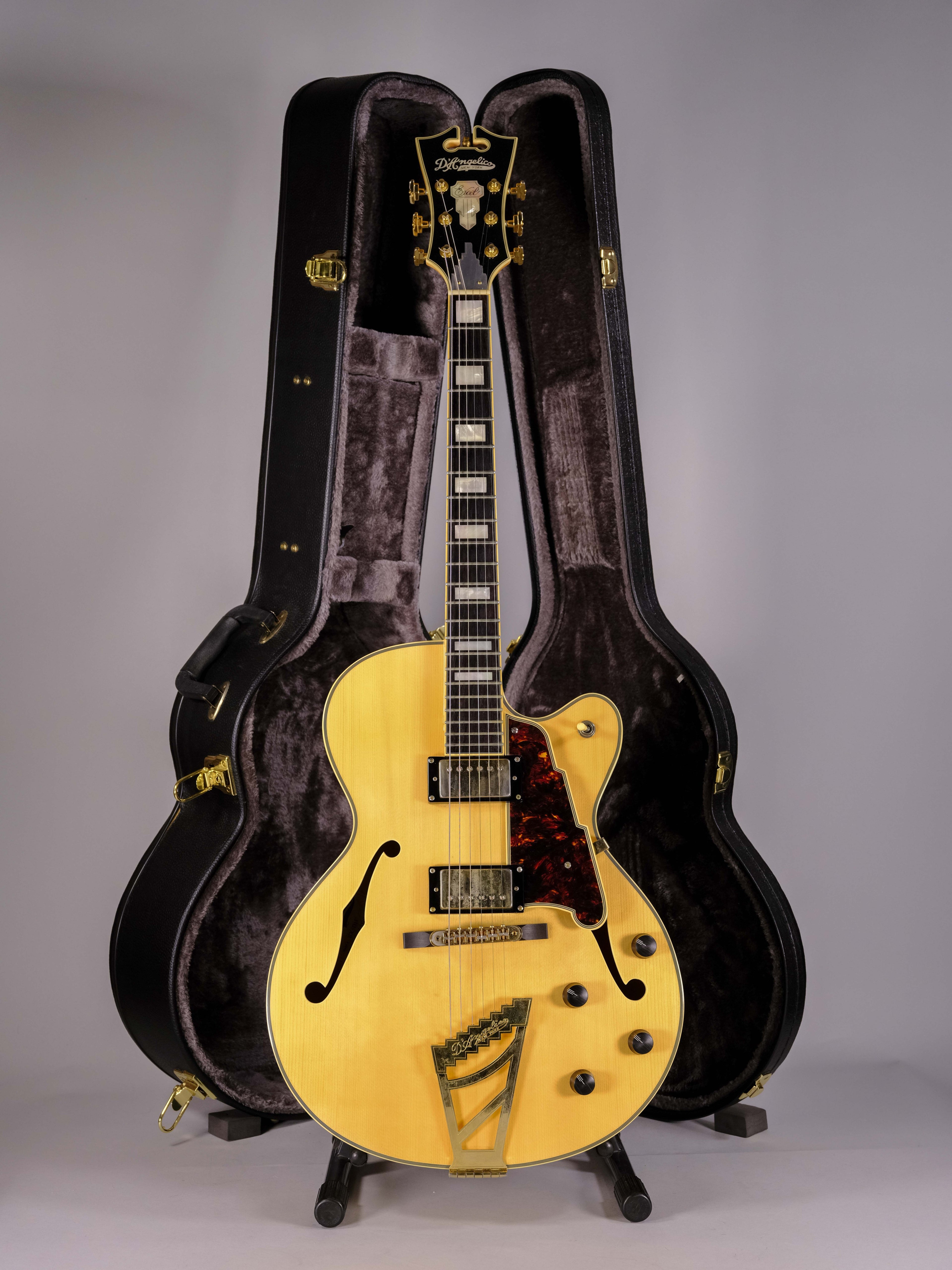 D'ANGELICO EX-DH HOLLOW EXCEL USATA