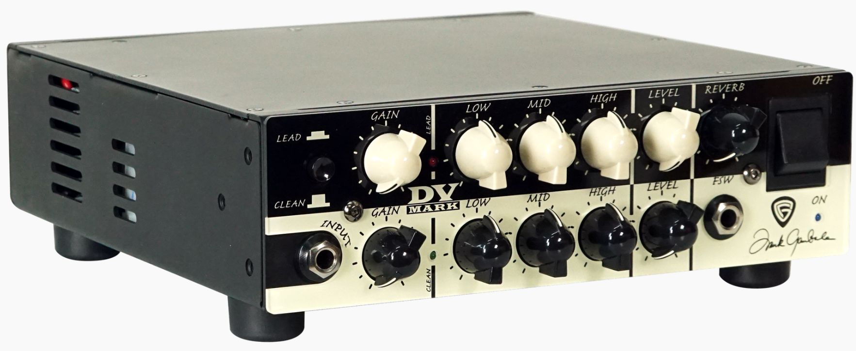 Dv Mark Fg Little 250 Amplitude Testata Per Chitarra