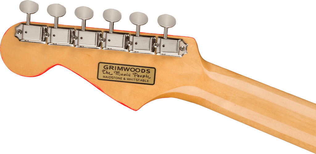 Fender George Harrison Rocky Stratocaster Rw Hand Painted Rocky Artwork
