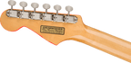 Fender George Harrison Rocky Stratocaster Rw Hand Painted Rocky Artwork