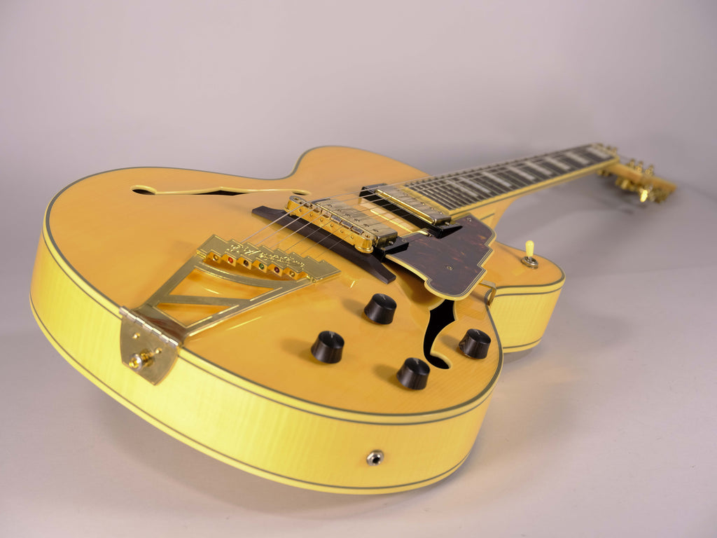 D'ANGELICO EX-DH HOLLOW EXCEL USATA
