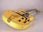 D'ANGELICO EX-DH HOLLOW EXCEL USATA