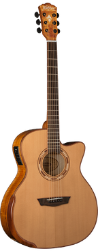 WASHBURN G66 CE 