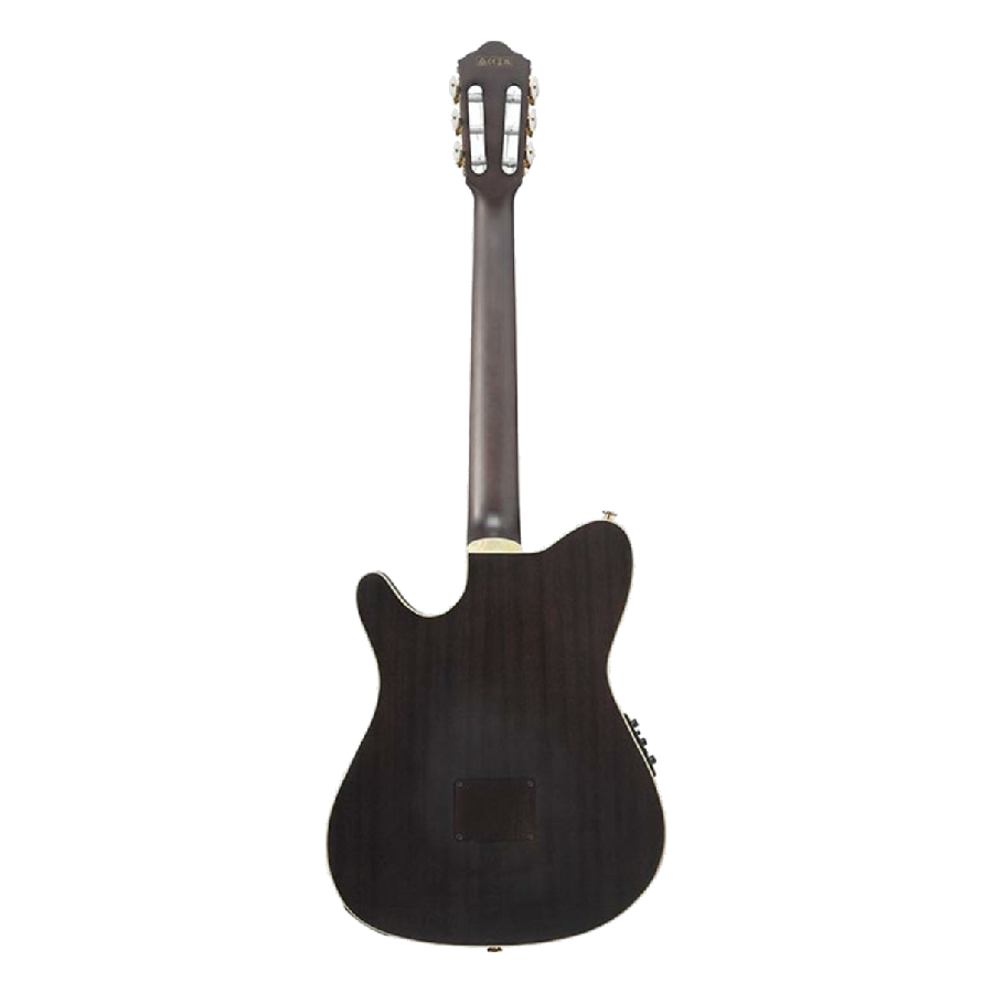 Ibanez TOD10NLTKF Acoustic Transparent Black Flat Mancina