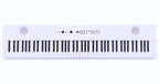 Korg Liano LIVE!