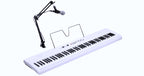 Korg Liano LIVE!