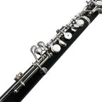 L.A. Ripamonti OBE100