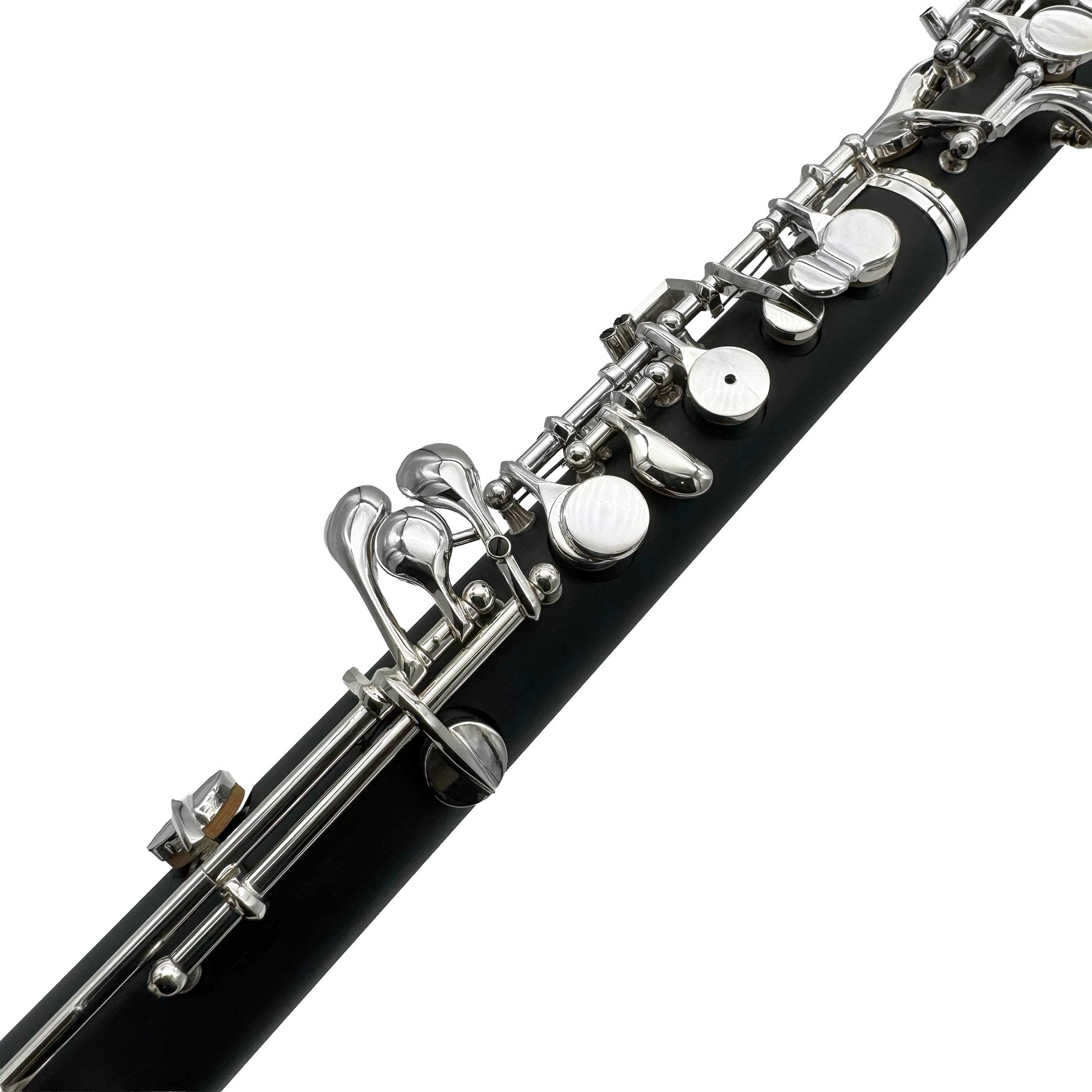 L.A. Ripamonti OBE100