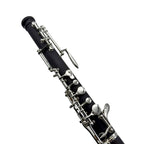 L.A. Ripamonti OBE100