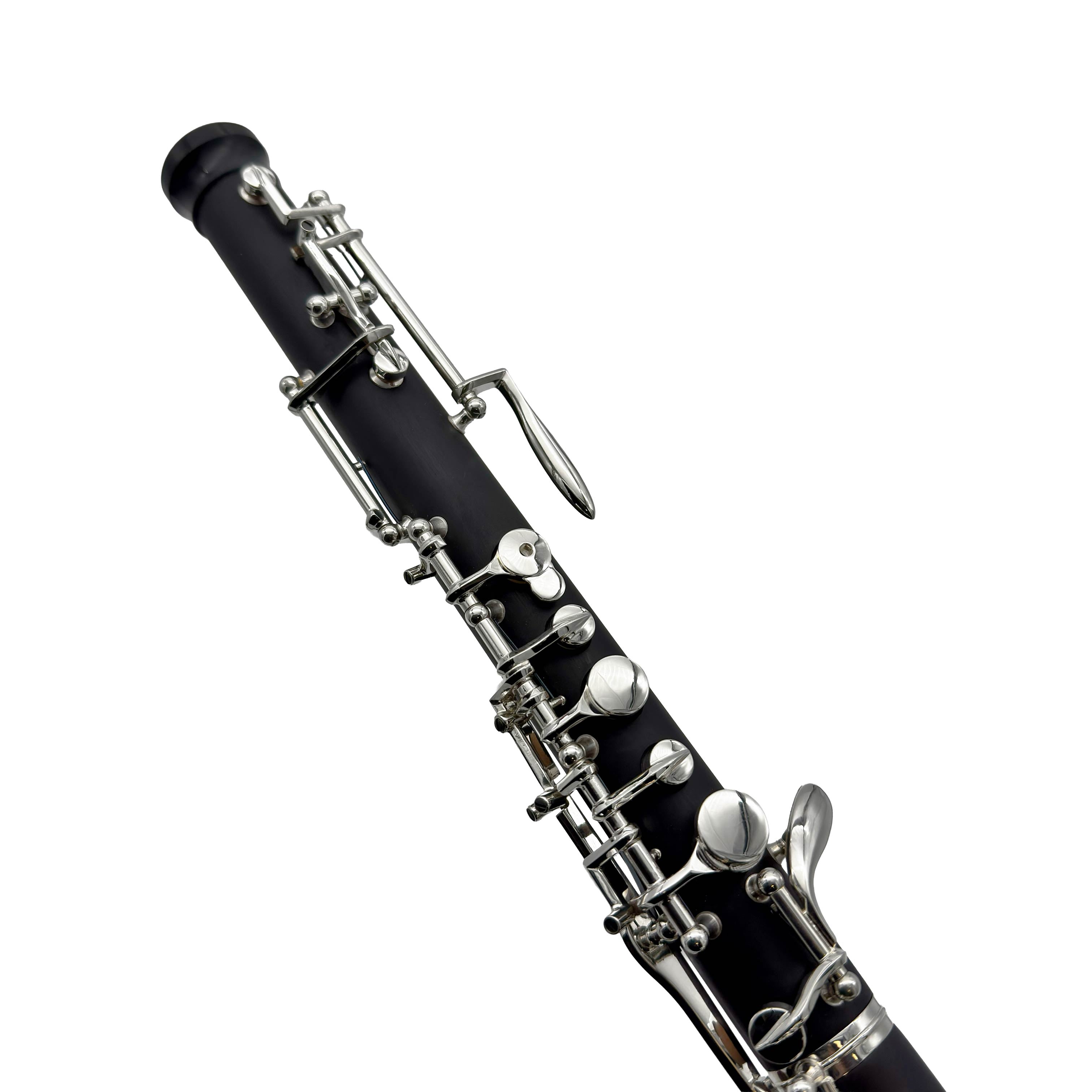 L.A. Ripamonti OBE100