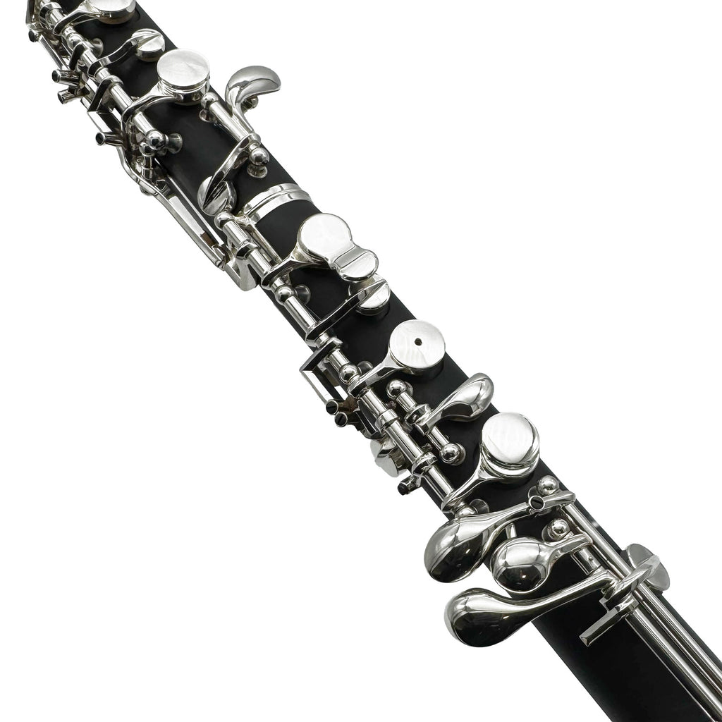 L.A. Ripamonti OBE100
