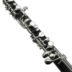 L.A. Ripamonti OBE100
