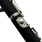 L.A. Ripamonti OBE100