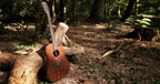 LAG SAUVAGE-DCE Chitarra Acustica Dreadnought Cutaway EQ