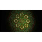 Pro Show Atomic4DJ 3DS Laser Multicolore con Telecomando