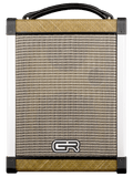Gr Guitar Acoustic 5 Combo