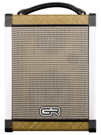 Gr Guitar Acoustic 5 Combo
