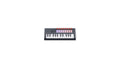 Novation FLkey 2 Mini 25