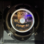 DRAGOON CASSA 2X12 USATA