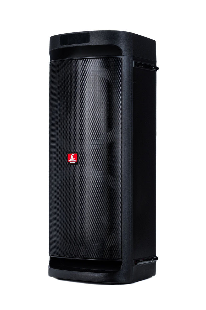 Audiodesign Diffusore Portatile DJ 206 2X6,5'