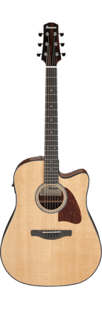 Ibanez AAD51CE Natural High Gloss