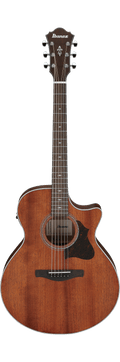 Ibanez AE140 Open Pore Natural