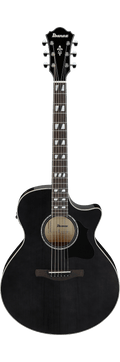 Ibanez AE170 Transparent Black High Gloss
