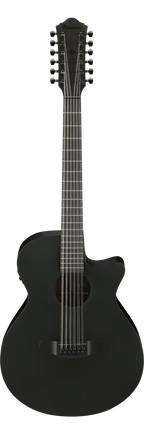 Ibanez AEG1221 Black Out