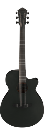 Ibanez AEG621 Black Out