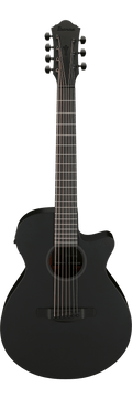 Ibanez Aeg721 Black Out