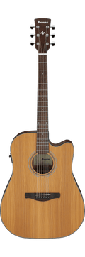 Ibanez AW65ECE Natural Low Gloss