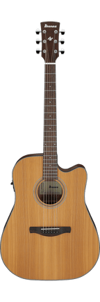 Ibanez AW65ECE Natural Low Gloss