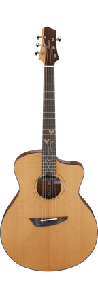 Ibanez JGM11 Chitarra Acustica Jon Gomm Signature