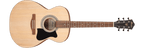 Ibanez VC50NJP JamPack Open Pore Natural