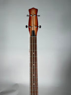 Danelectro Longhorn Copper Burst Usato