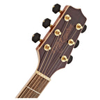 Takamine Dreadnought Cutaway Elettrificata Natural